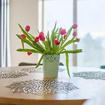 Appartement Almar Diune Kołobrzeg